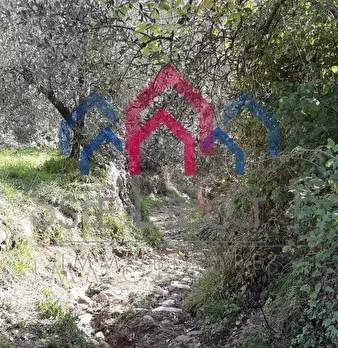 Foto annuncio 50