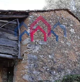 Foto annuncio 49