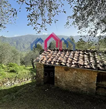Foto annuncio 33