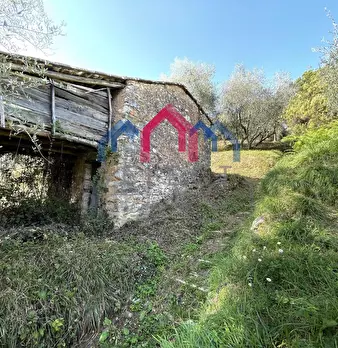 Foto annuncio 10