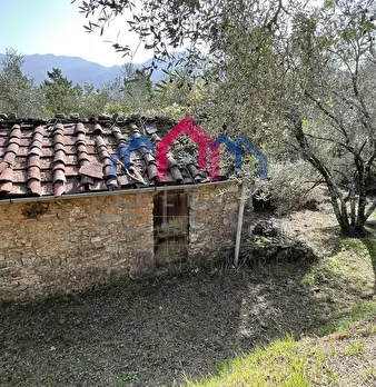 Foto annuncio 36