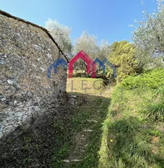Foto annuncio 12