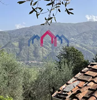 Foto annuncio 34