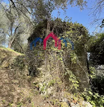 Foto annuncio 26