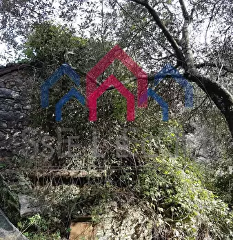 Foto annuncio 44