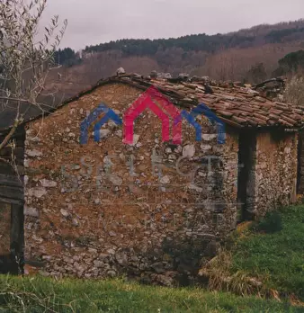 Foto annuncio 54
