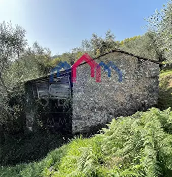 Foto annuncio 6