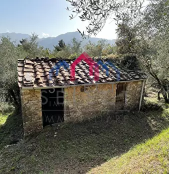 Foto annuncio 38