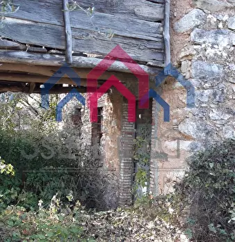 Foto annuncio 48