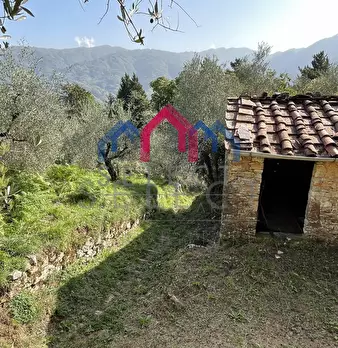 Foto annuncio 37