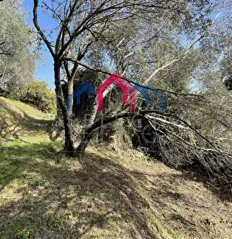 Foto annuncio 29