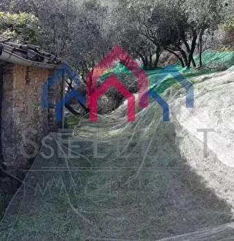 Foto annuncio 41