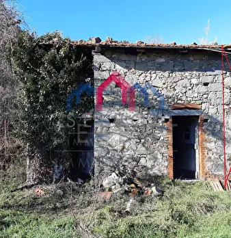 Foto annuncio 31