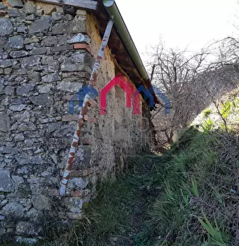Foto annuncio 35