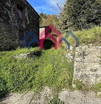 Foto annuncio 29