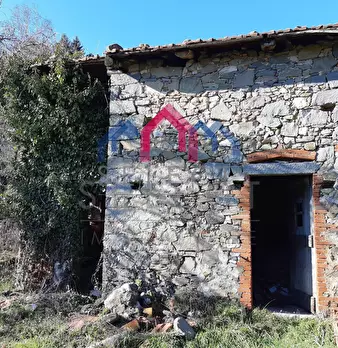 Foto annuncio 34