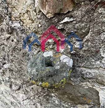 Foto annuncio 4
