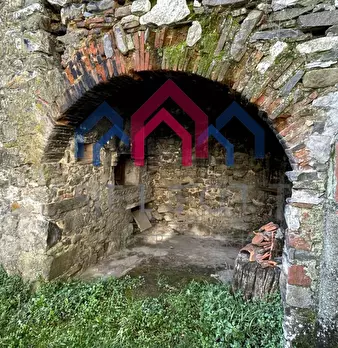 Foto annuncio 24