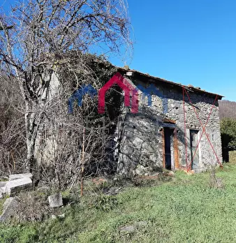 Foto annuncio 30