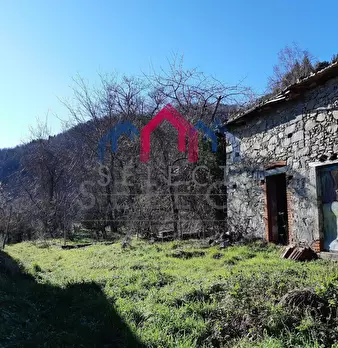 Foto annuncio 36