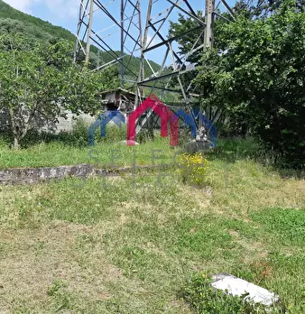 Foto annuncio 52