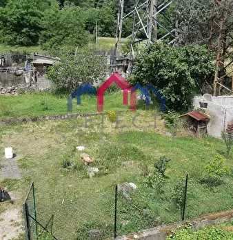 Foto annuncio 62