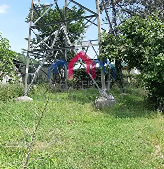 Foto annuncio 54