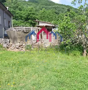 Foto annuncio 56