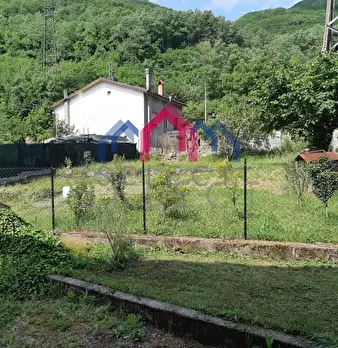 Foto annuncio 51