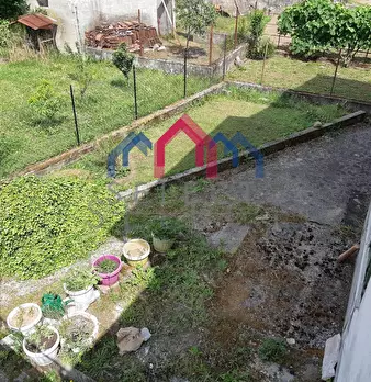 Foto annuncio 60