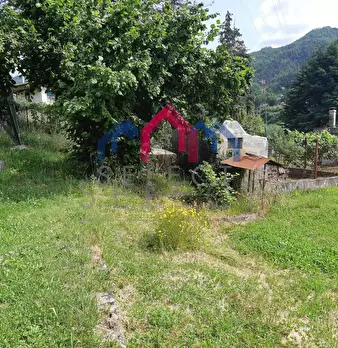 Foto annuncio 58