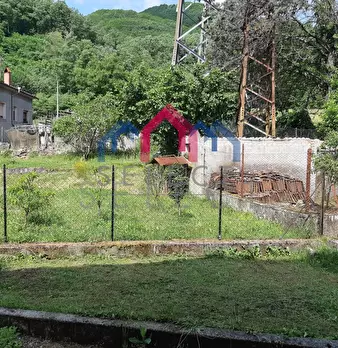 Foto annuncio 50