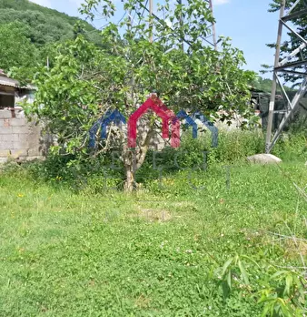 Foto annuncio 55