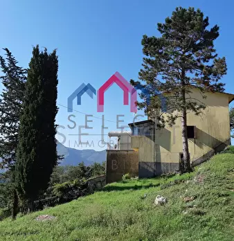Foto annuncio 19
