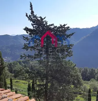Foto annuncio 20