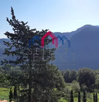Foto annuncio 21