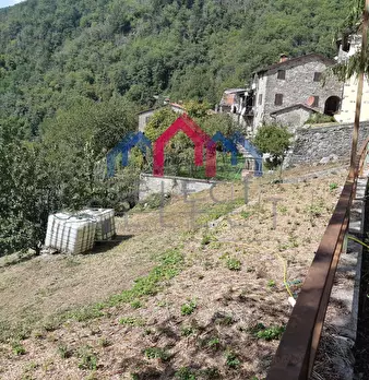 Foto annuncio 62