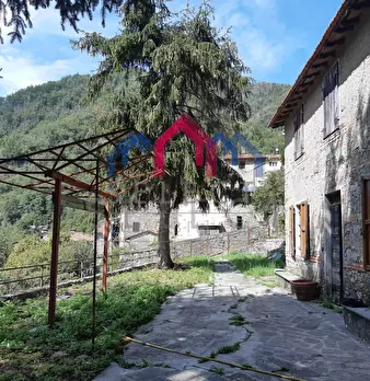 Foto annuncio 72