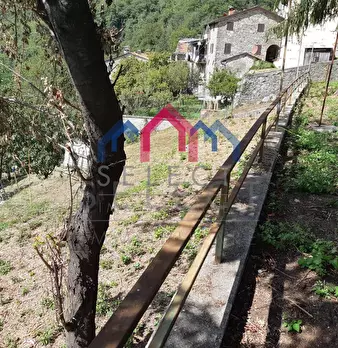 Foto annuncio 67
