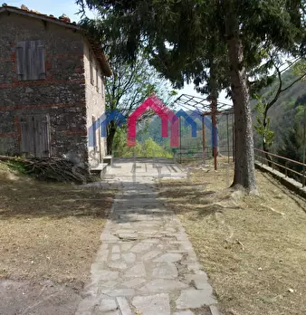 Foto annuncio 12