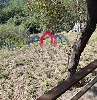 Foto annuncio 66