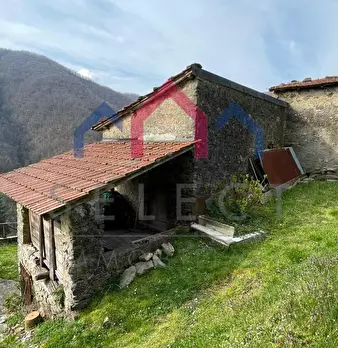 Foto annuncio 82