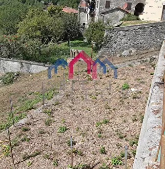 Foto annuncio 51