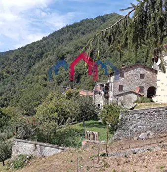 Foto annuncio 58