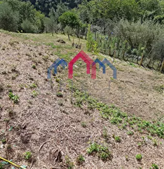 Foto annuncio 54