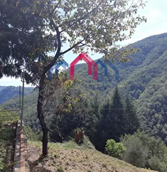 Foto annuncio 56
