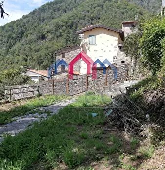 Foto annuncio 49