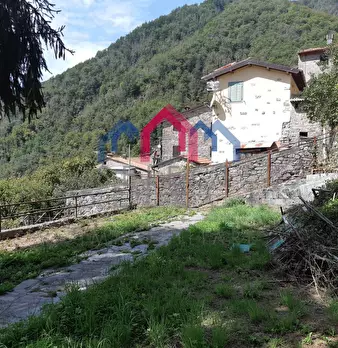 Foto annuncio 47
