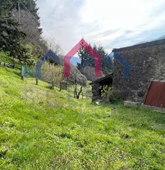 Foto annuncio 79