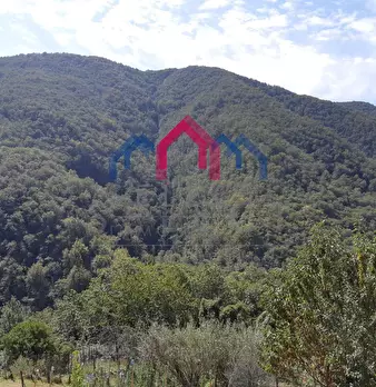 Foto annuncio 57